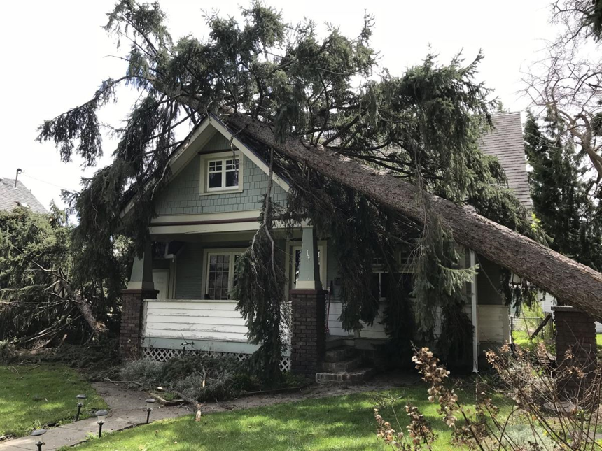 Large tree fallen on house